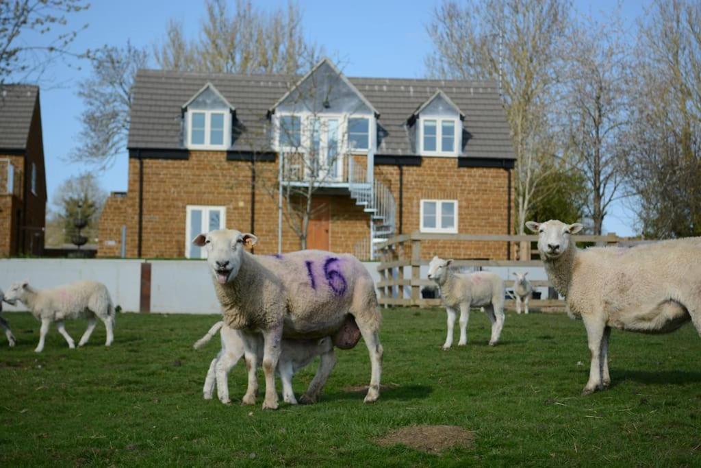 Field View Villa Braunston  ภายนอก รูปภาพ
